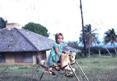 S2044 Katherine (Kat) McDougal in Saipan